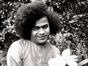 Baba Flower The Difference Between Universal Love and Individual Love - Sai Sarathi